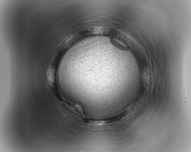 X0000093420554200710261001