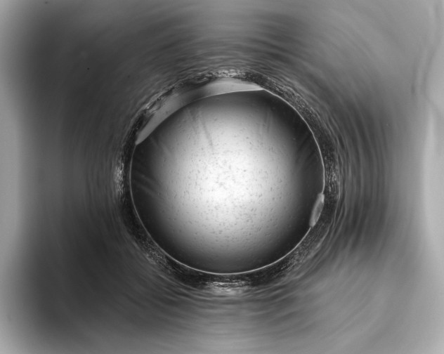 X0000093420556200710261001