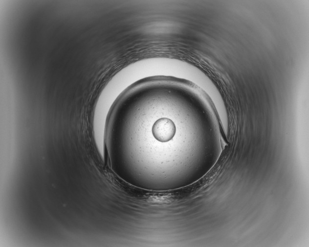 X0000093420560200710261001