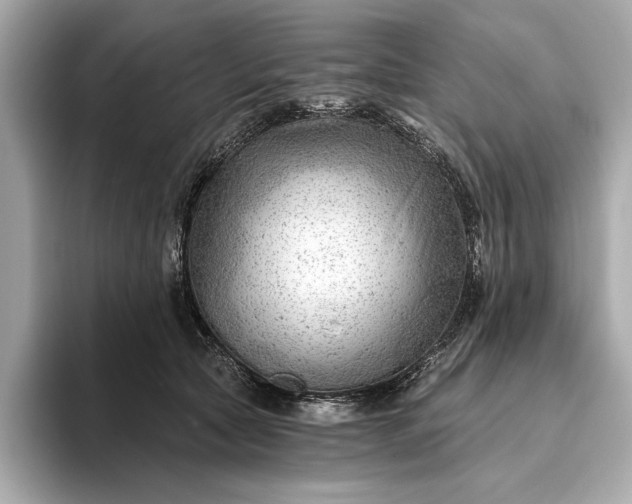 X0000093420561200710261001