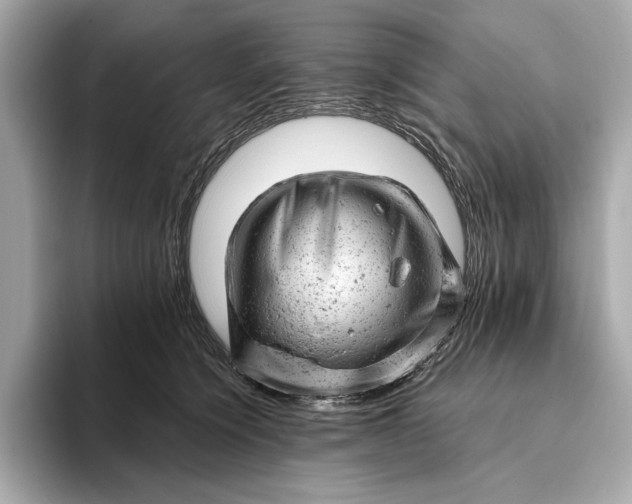 X0000093420564200710261001