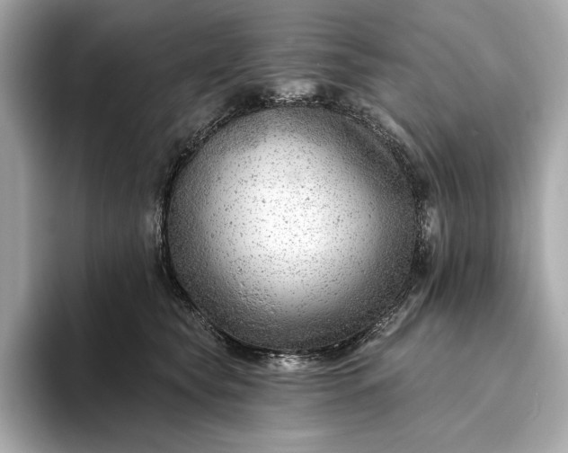 X0000093420565200710261001