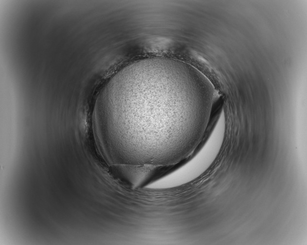 X0000093420566200710261001