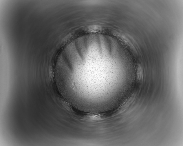 X0000093420569200710261001