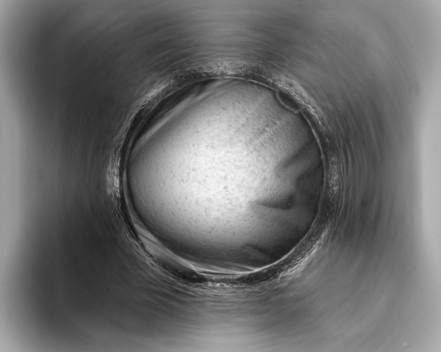 X0000093420585200710261000