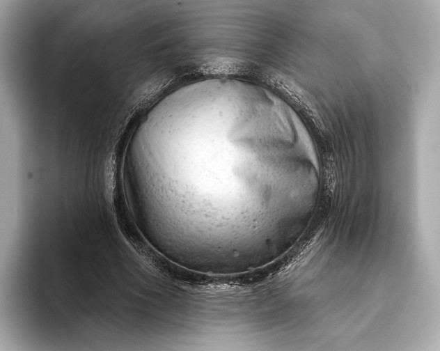 X0000093420586200710261000