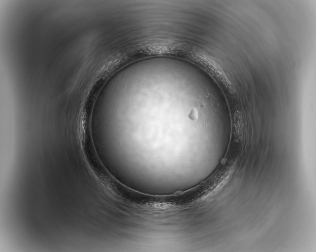 X0000093420590200710261000