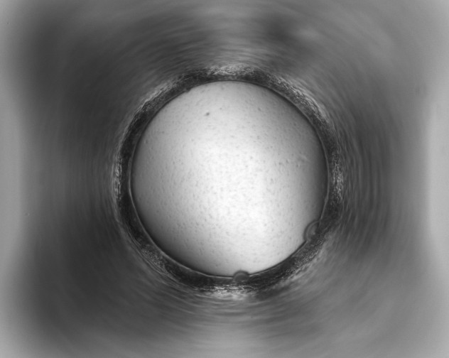 X0000093420591200710261000