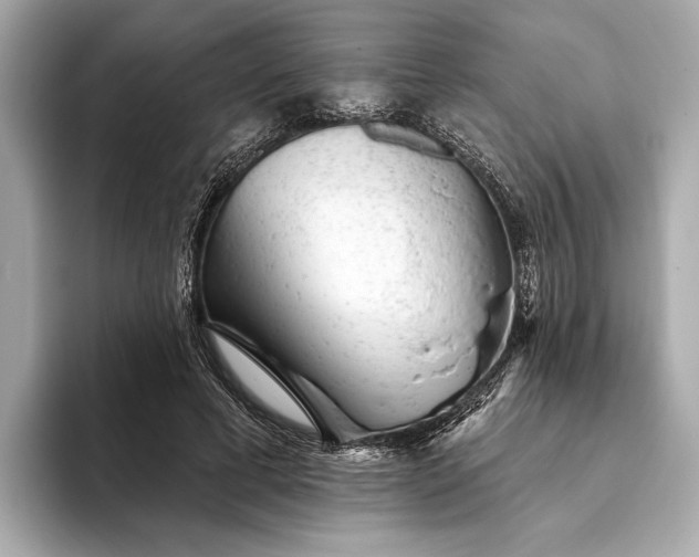 X0000093420593200710261000