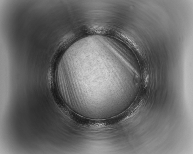 X0000093420594200710261000