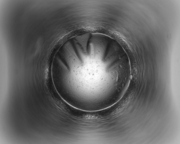 X0000093420596200710261000