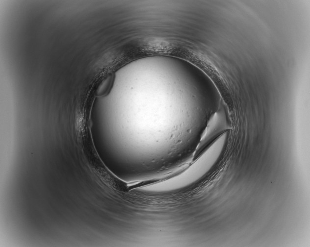 X0000093420597200710261000