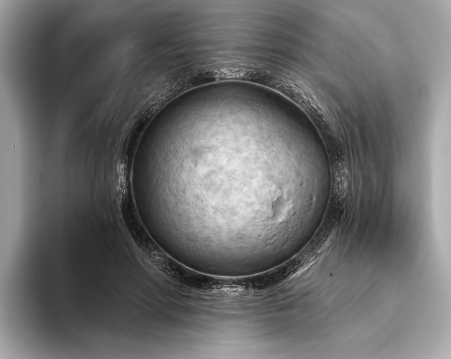 X0000093420598200710261000