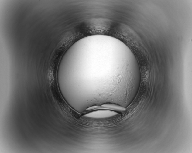 X0000093420599200710261000