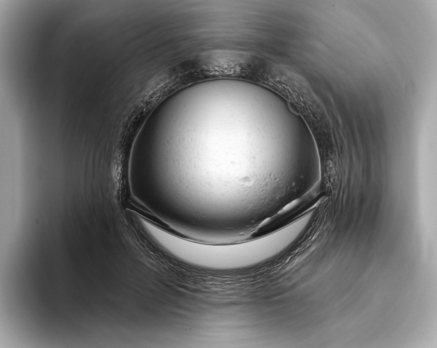 X0000093420600200710261000