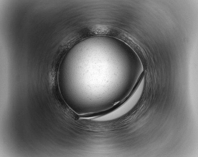 X0000093420604200710261000