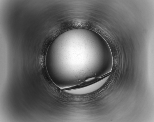 X0000093420605200710261000