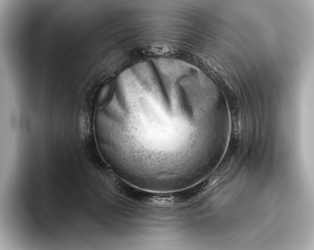 X0000093420606200710261000