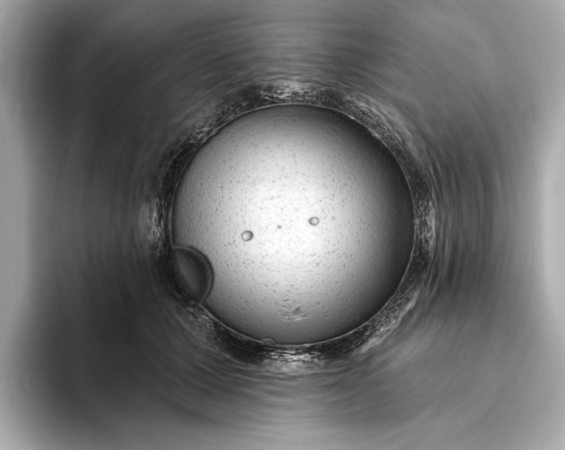 X0000093420607200710261000