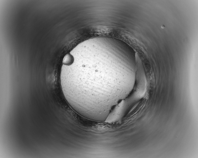 X0000093420608200710261000