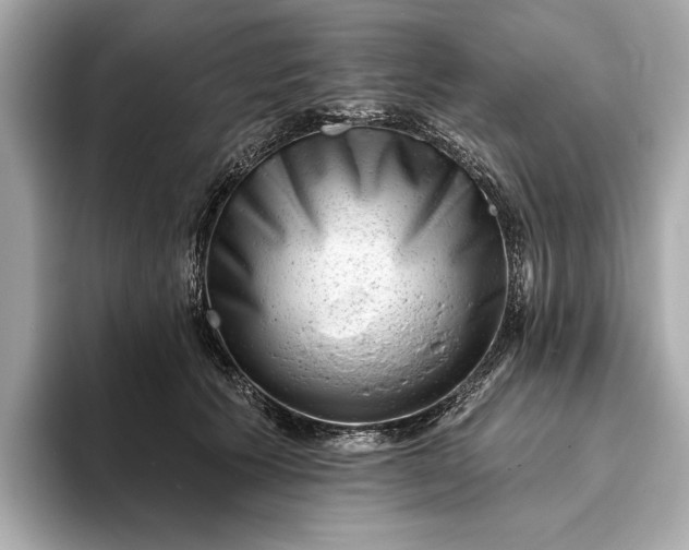 X0000093420609200710261000