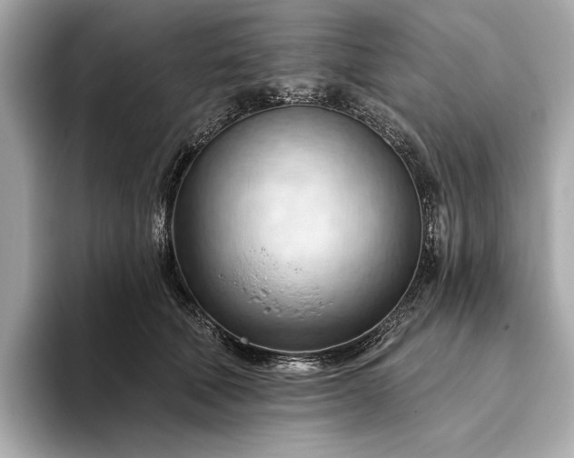 X0000093420610200710261000