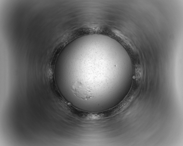 X0000093420613200710261000