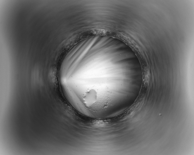 X0000093420616200710261000