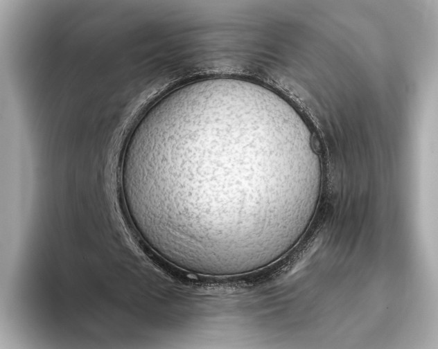 X0000093420625200710260959