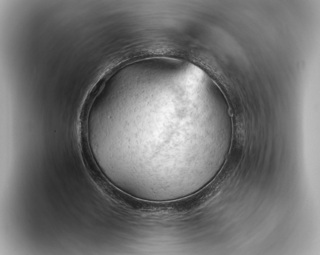 X0000093420626200710260959