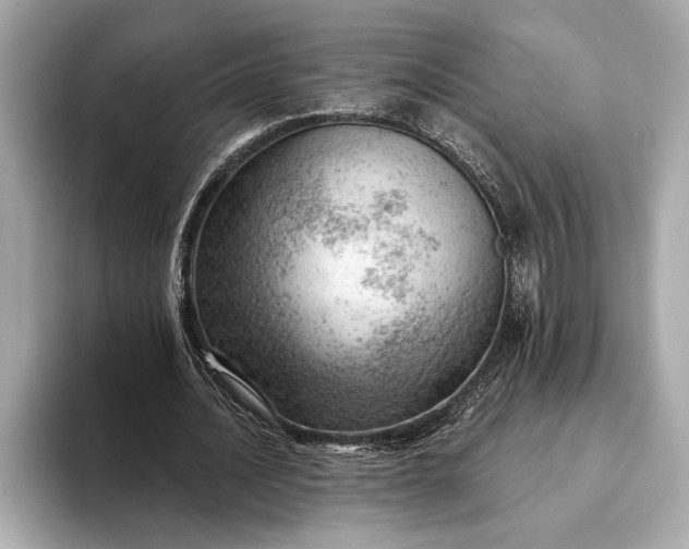 X0000093420628200710260959