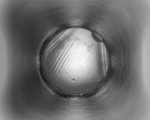 X0000093420634200710260959