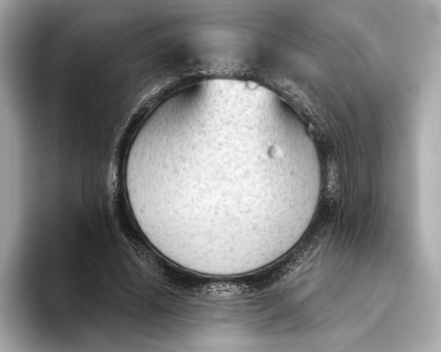 X0000093420636200710260959