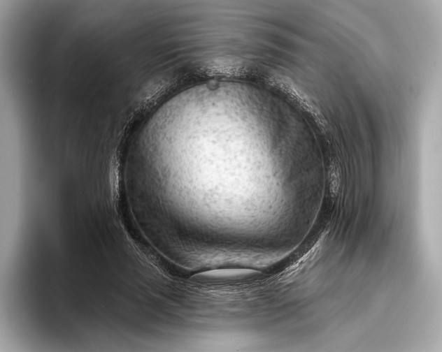 X0000093420637200710260959