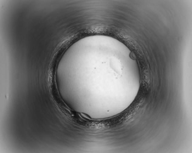 X0000093420640200710260959