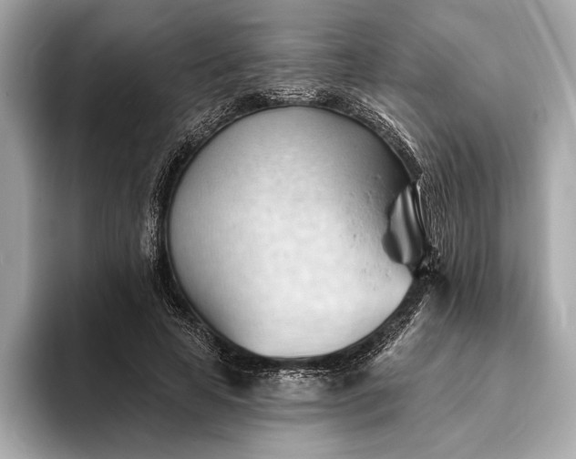 X0000093420641200710260959