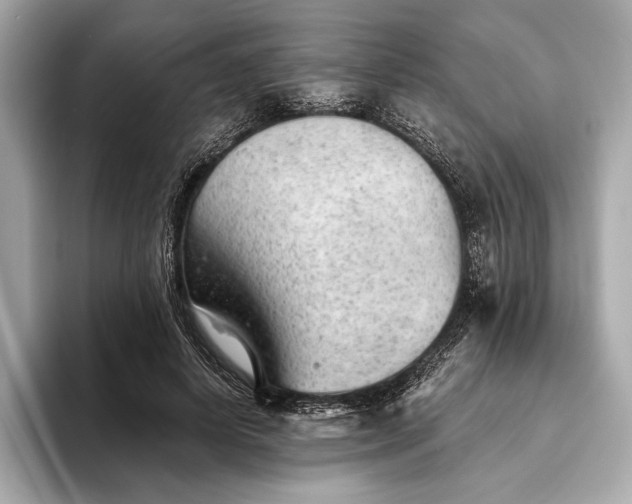 X0000093420642200710260959