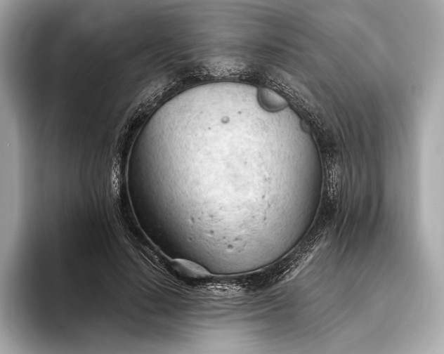 X0000093420644200710260959