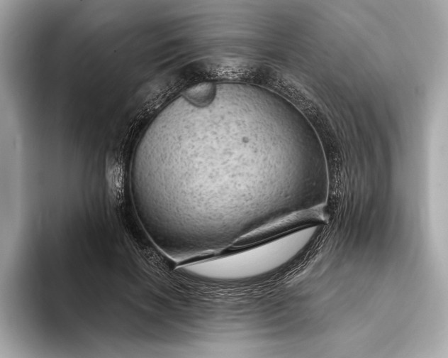 X0000093420646200710260959