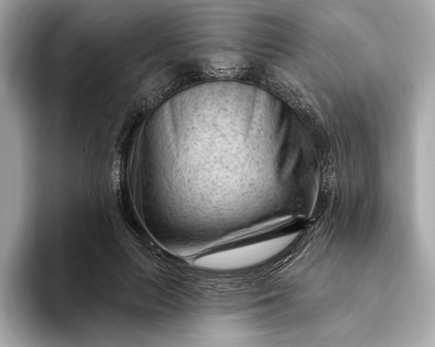 X0000093420647200710261000