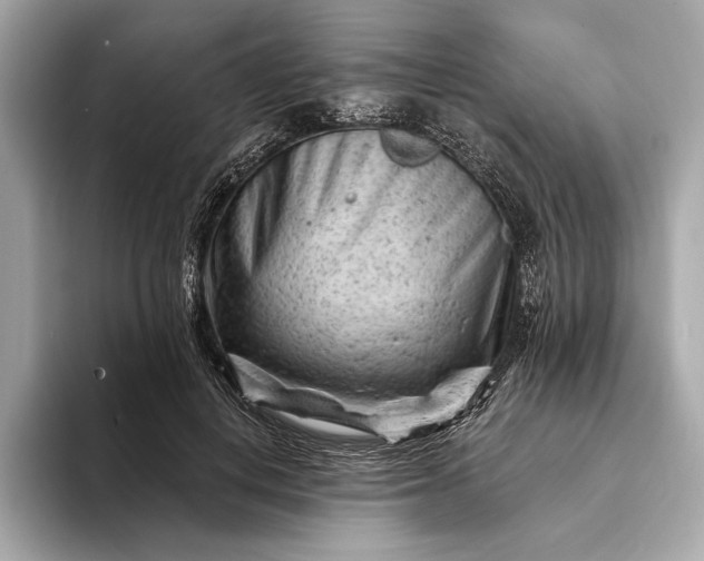 X0000093420648200710261000