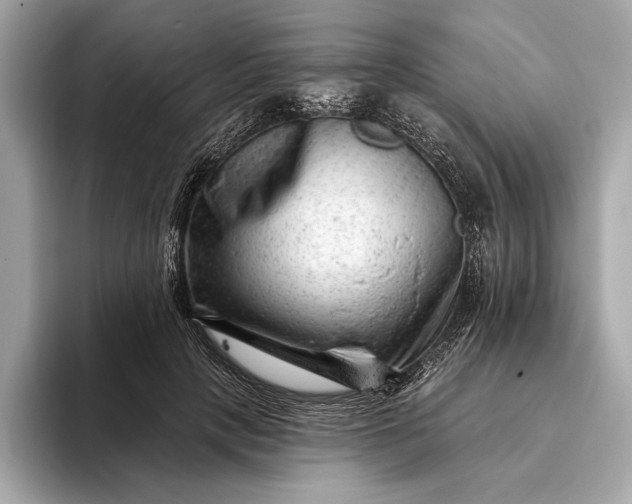 X0000093420649200710261000