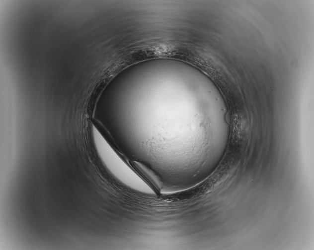 X0000093420650200710261000