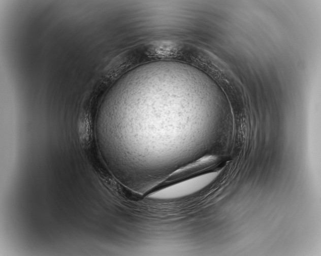 X0000093420651200710261000