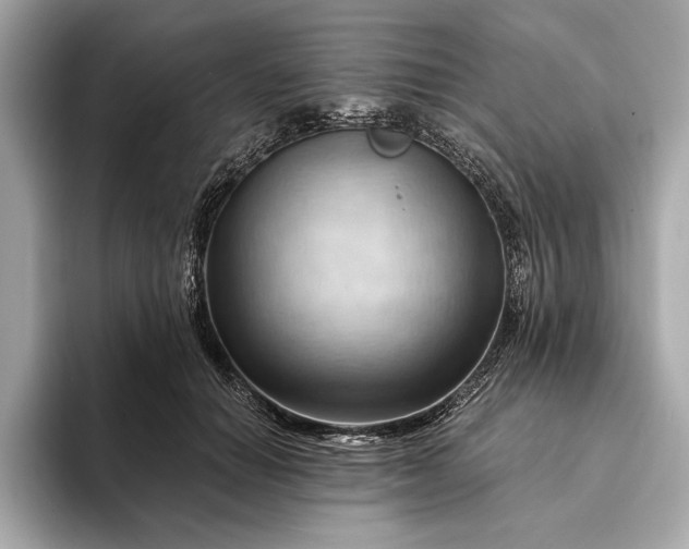 X0000093420654200710261000