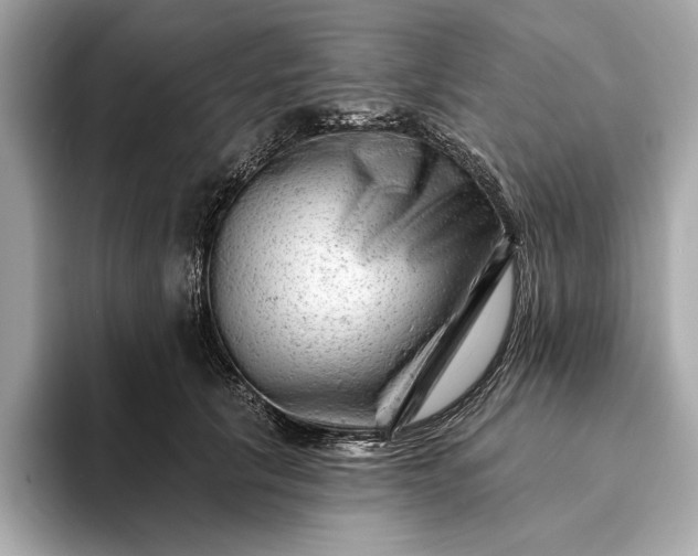 X0000093420657200710261000