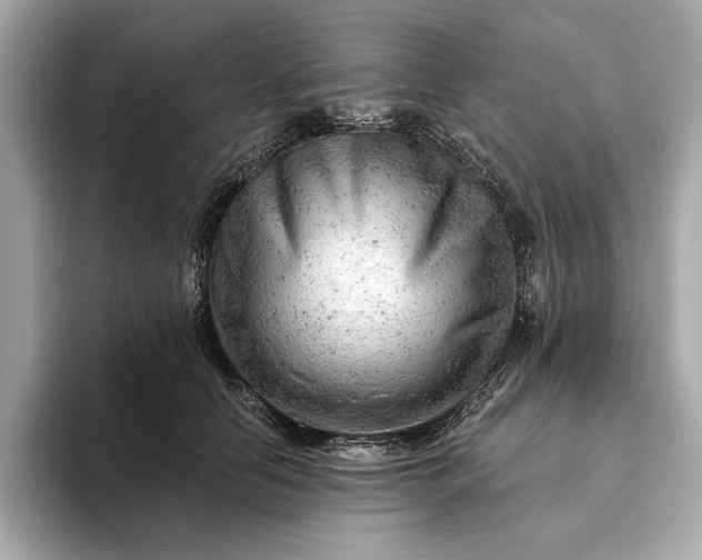 X0000093420658200710261000