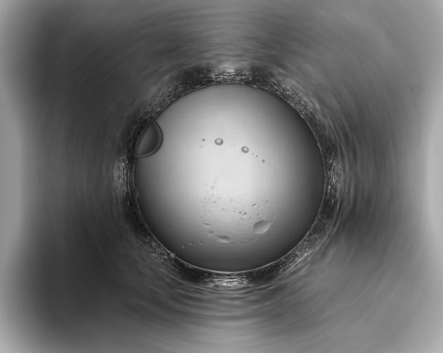 X0000093420659200710261000