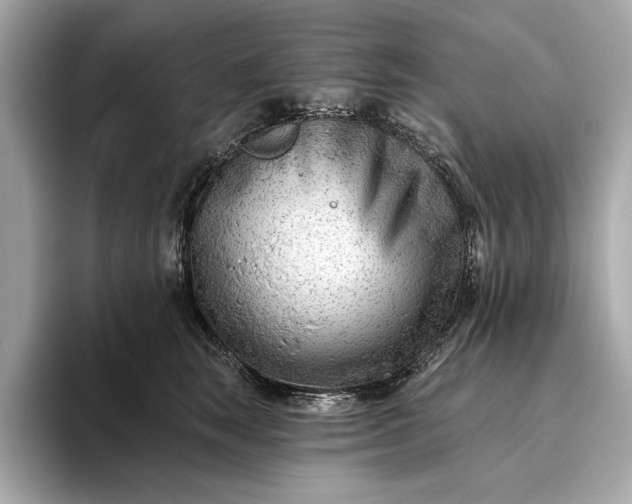 X0000093420663200710261000