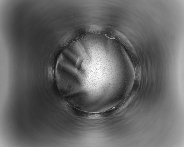 X0000093420669200710261000